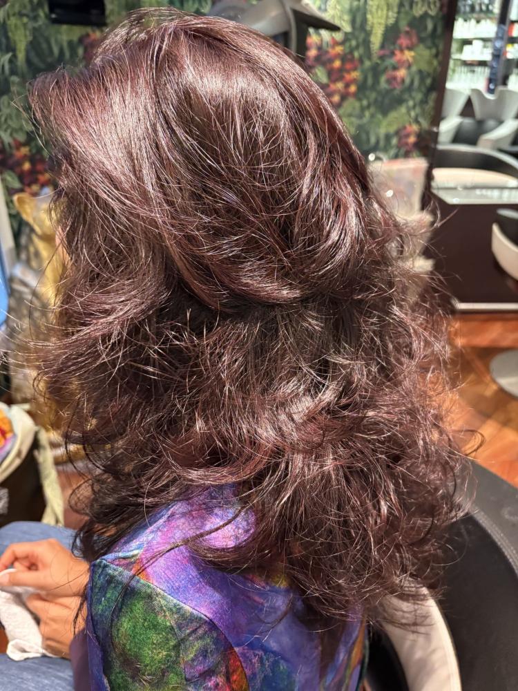 Nouvelle coloration 2 (1)