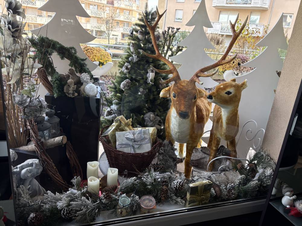 déco noel - jacky coiff (1)