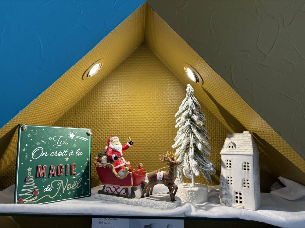 déco noel - jacky coiff (3)